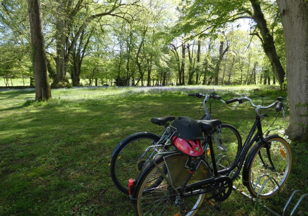 château hôtel à 25mn du circuit des 24H château hôtel à 25mn du circuit des 24H