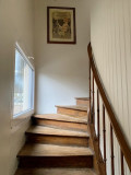escalier-bas-7985