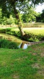 jardin_le_mans_24h_course_b&b