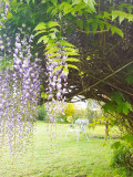 garden - Comfortable B&B just 7 minutes from the 24-hour race circuit