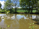 small pond