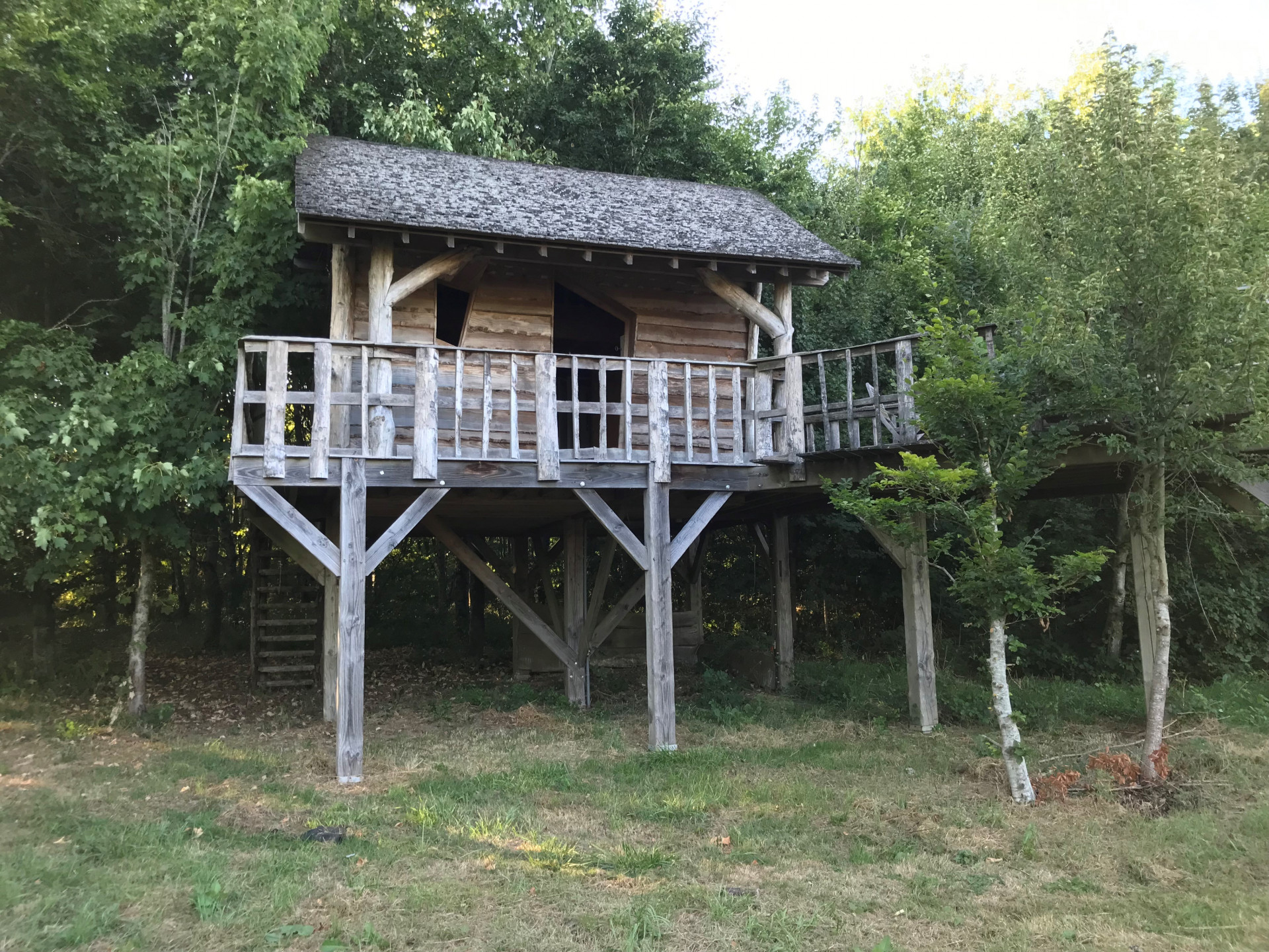 cabane