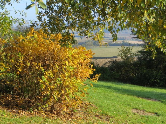 parc du domaine