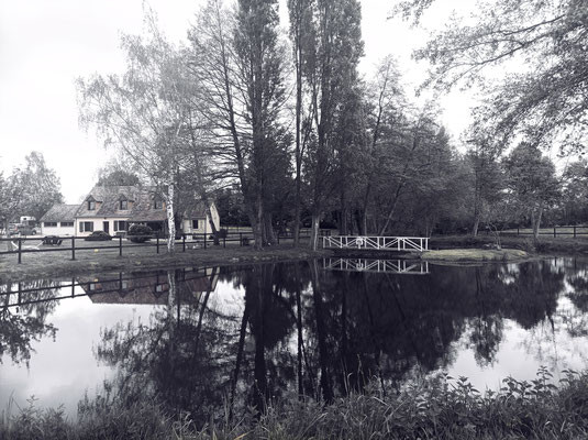 image (9).jpg
