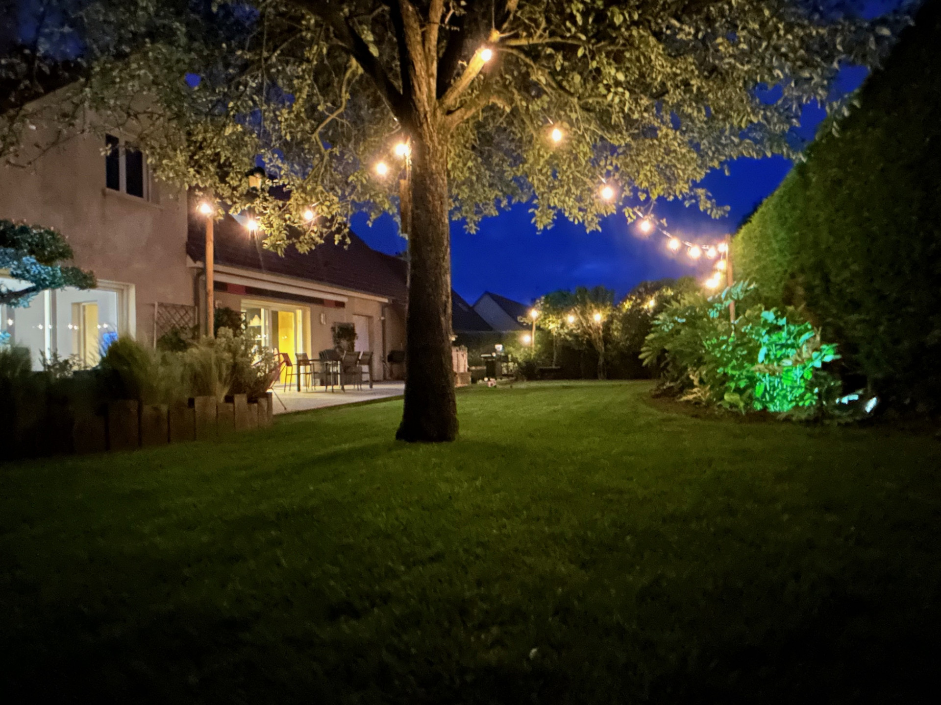 Extérieur avec jardin