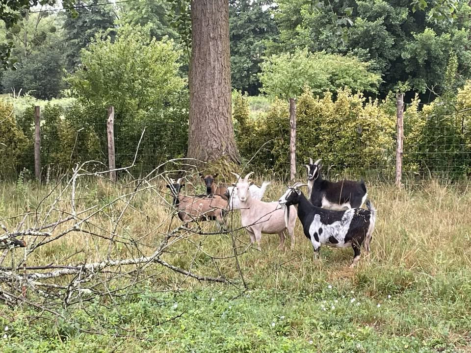 Gîte pour 15 personnes à 30mn du circuit