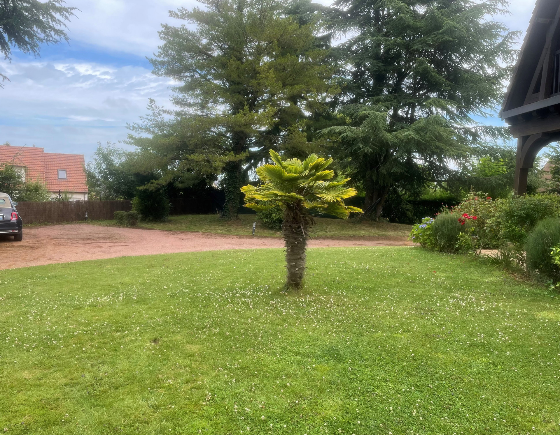Jardin