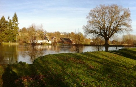 jardin_le_mans_24h_course_b&b