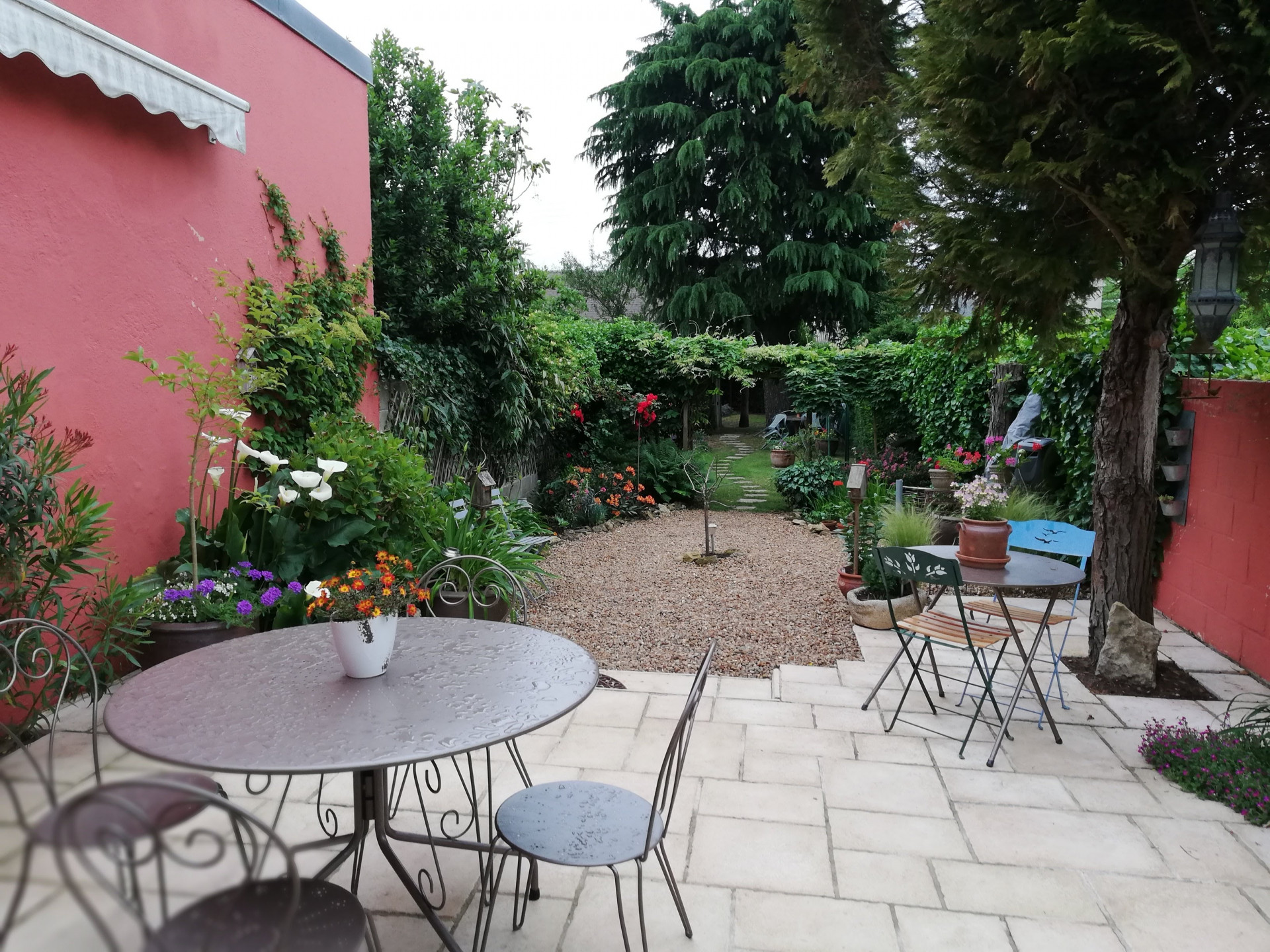 jardin-7736