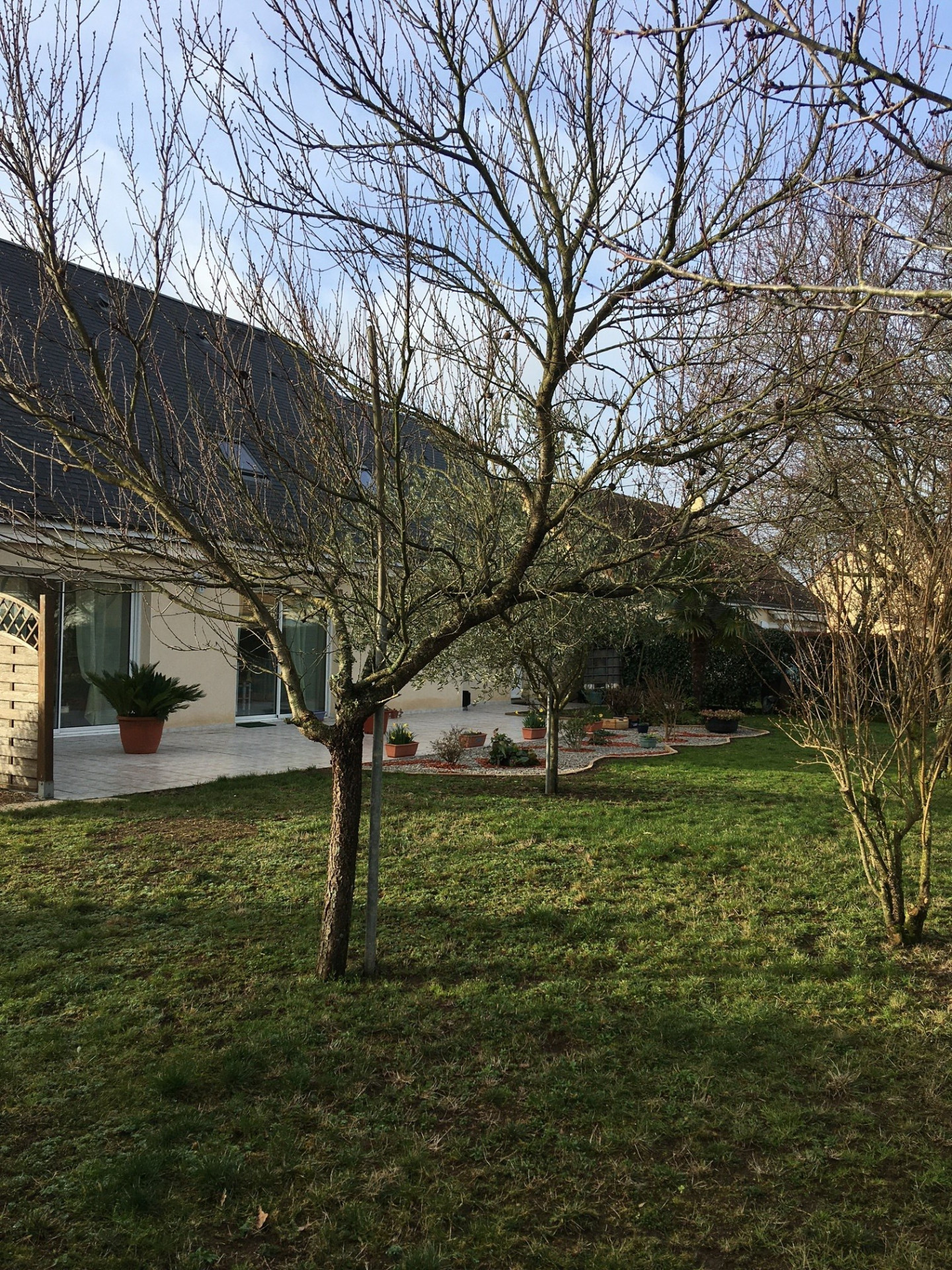 jardin