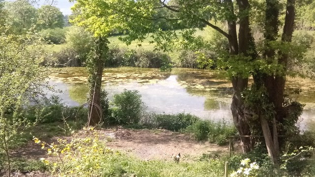 Park