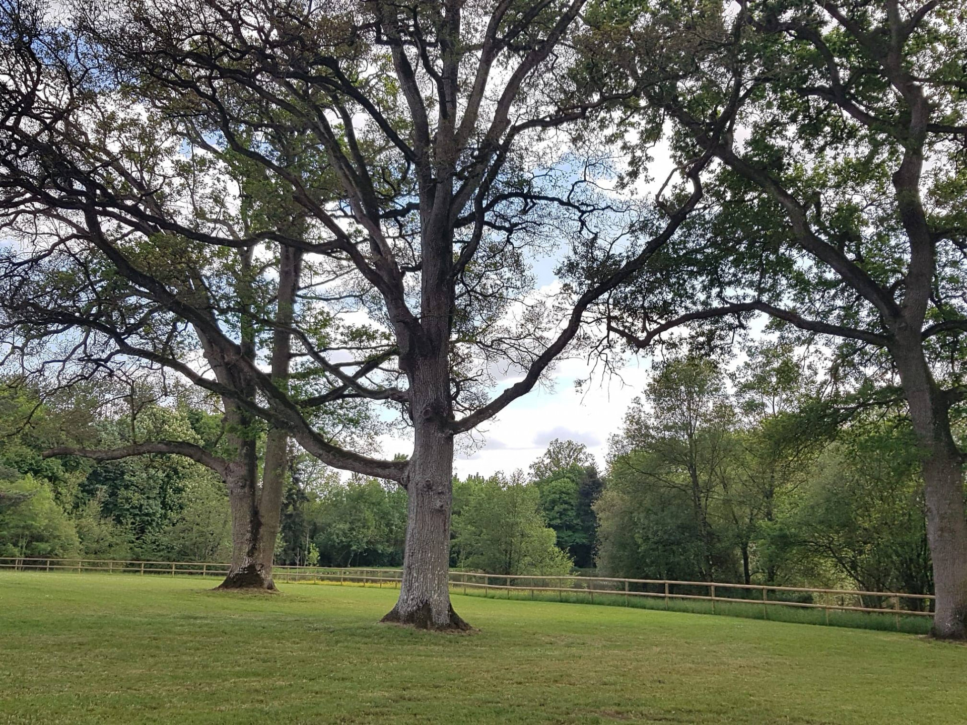 parc