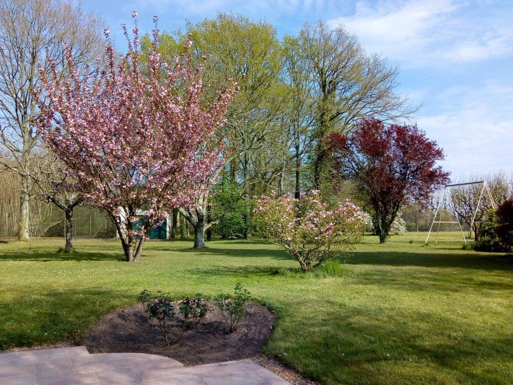 park