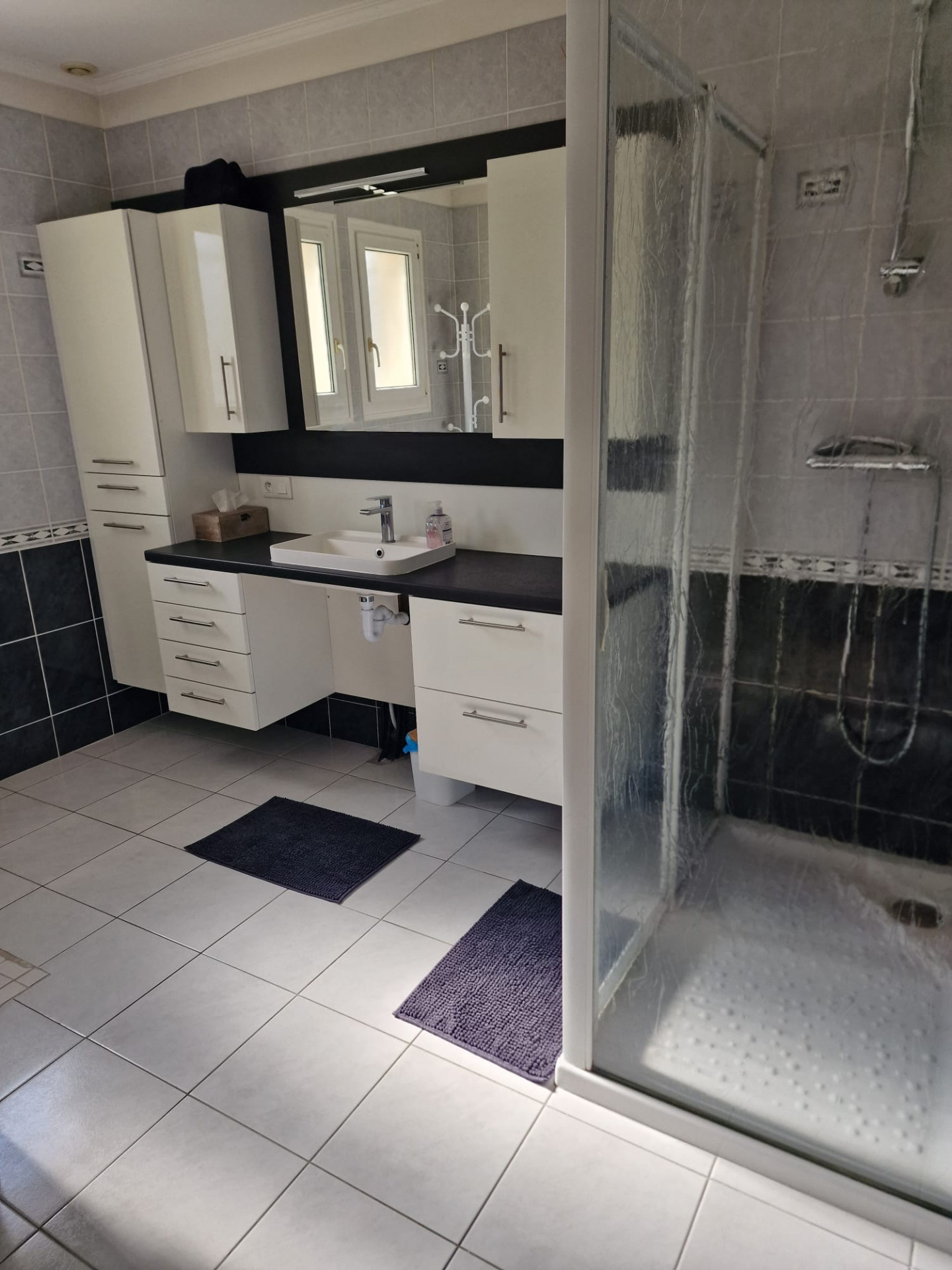 salle de bain - 10mn du circuit des 24H