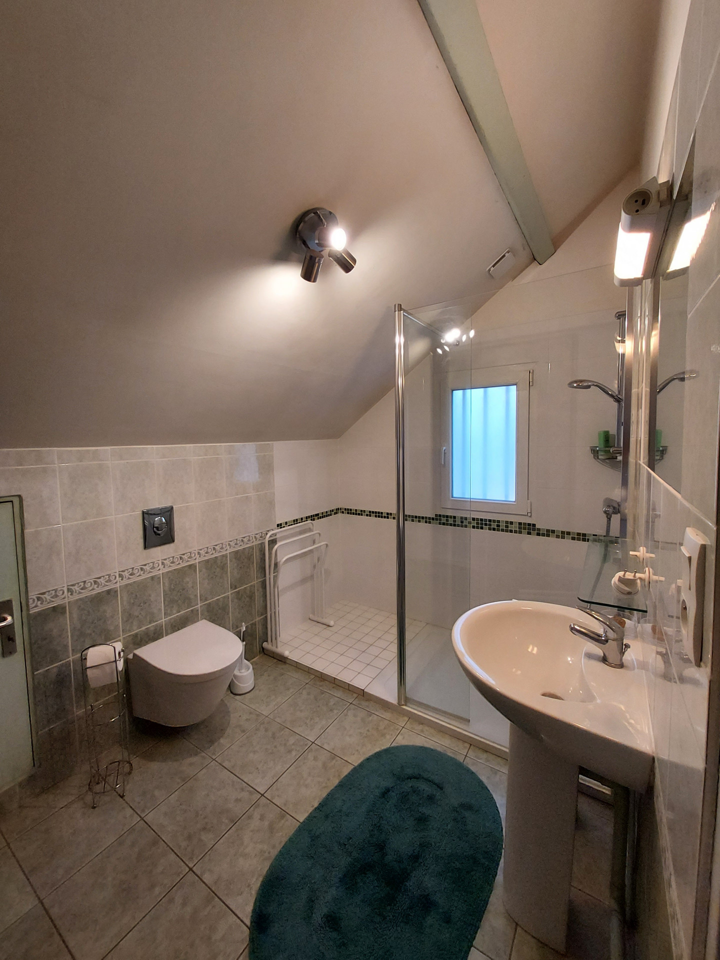 shower room 2