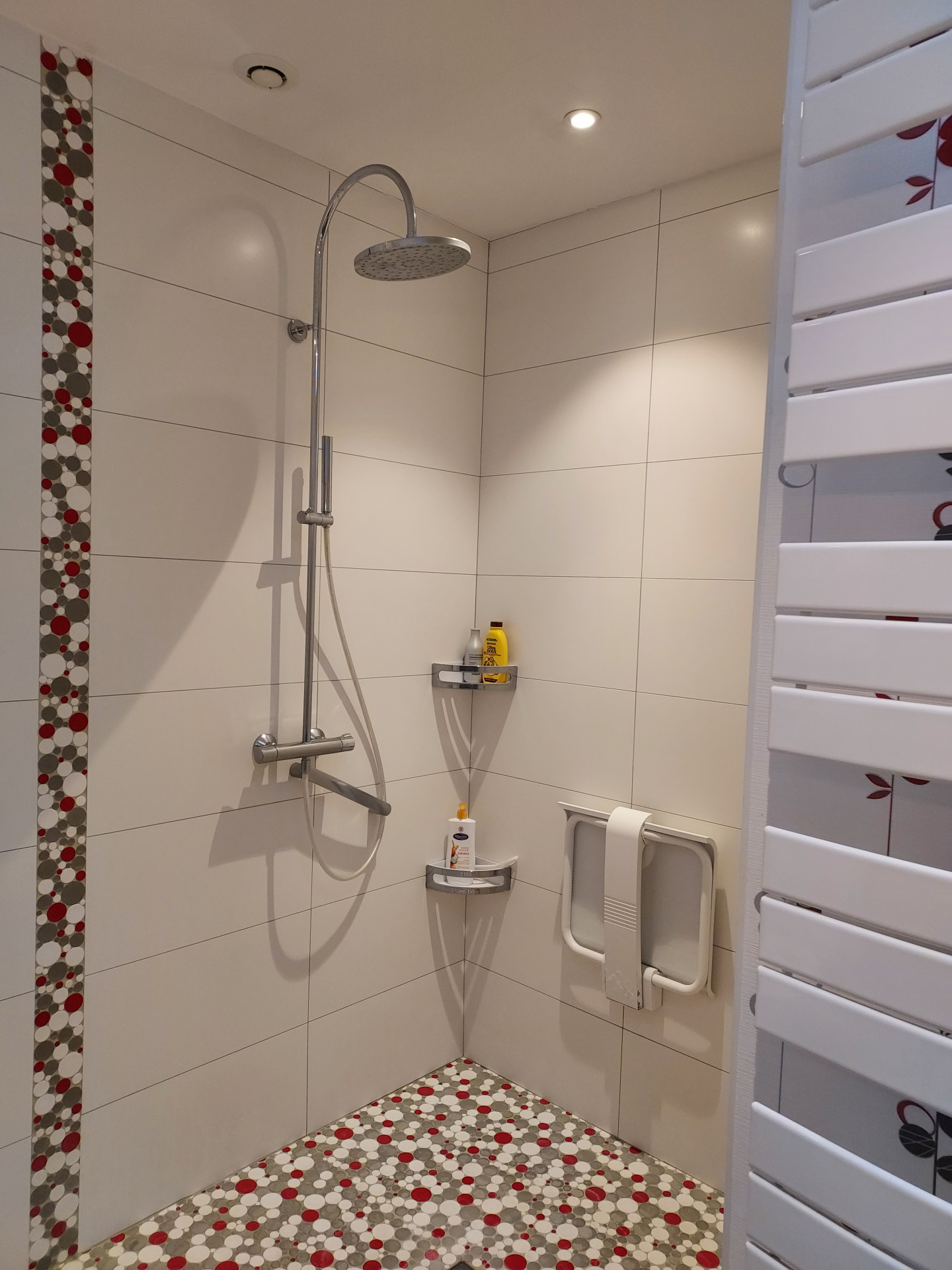 shower room bedroom 1