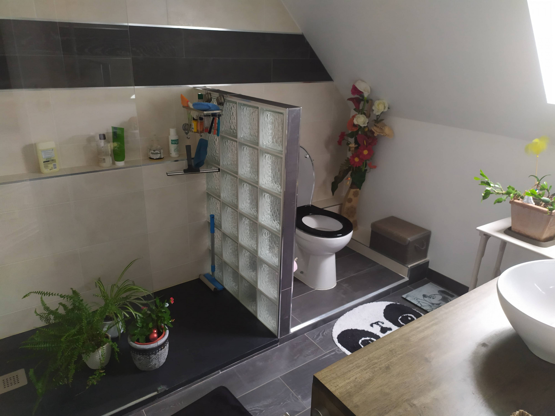 salle de douche WC