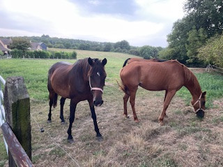 thumbnail-img-1676-16710