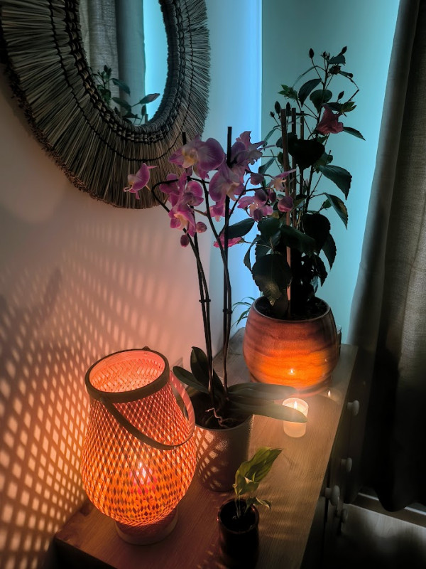Chambre 1 Chambre 1