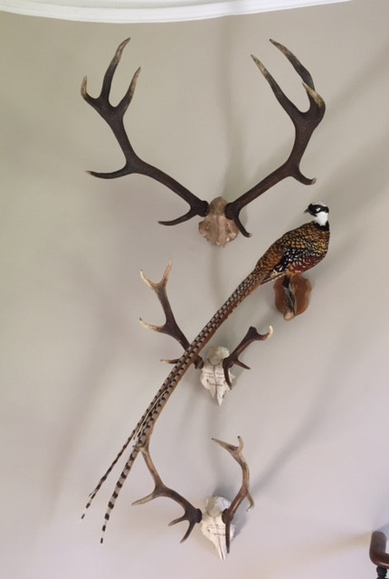 fullsizerender-16784 fullsizerender-16784