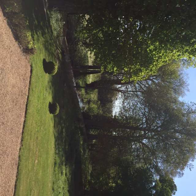 img-2663-16805 img-2663-16805