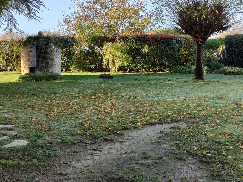 jardin jardin