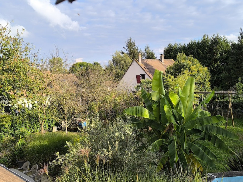 Jardin Jardin
