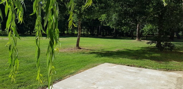 garden and park garden and park