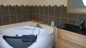 bathroom bathroom_le_mans_24h_race_cottage