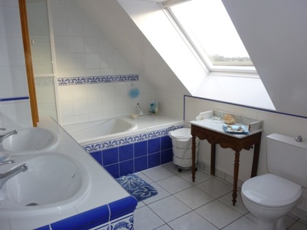 salle de bain salle_de_douche_bain_toilet_24h_du_mans_b&b