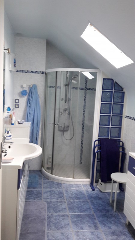 Shower room showerroom-house-B&B