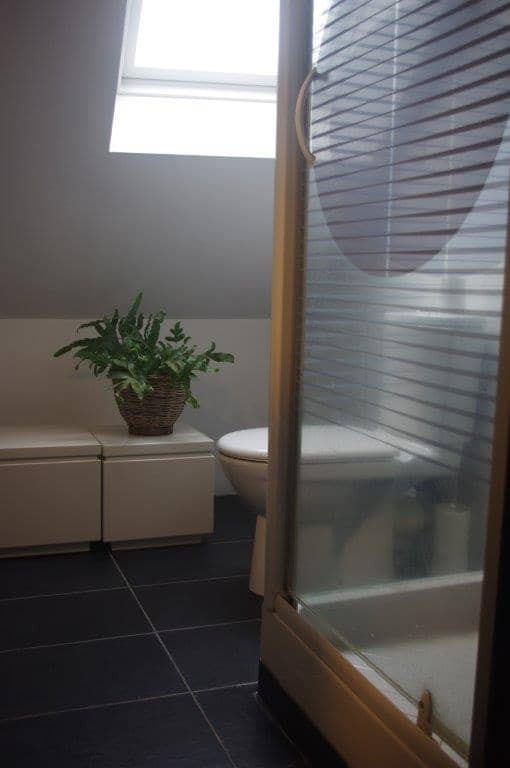 shower room floor shower room floor