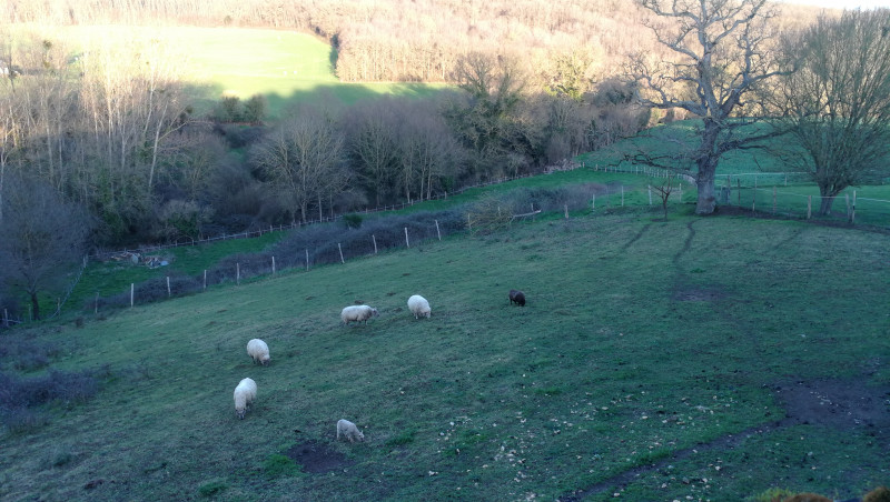 studio view studio view